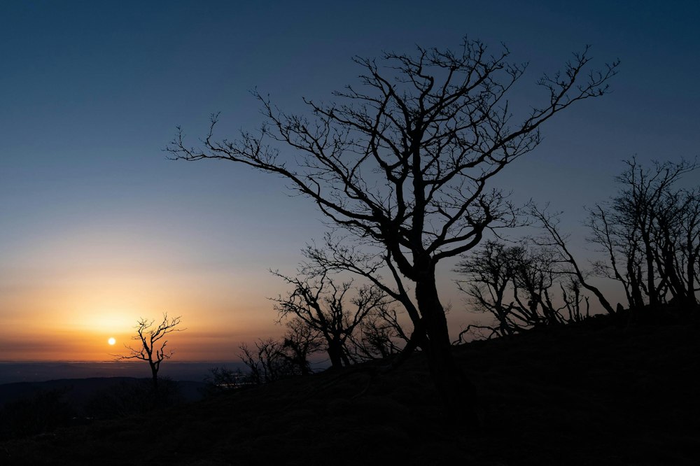 <p>小又谷の登山口から暗闇を登り、夜明けと同時に御池岳の山頂部に広がる平坦地・テーブルランドに到着した。</p>