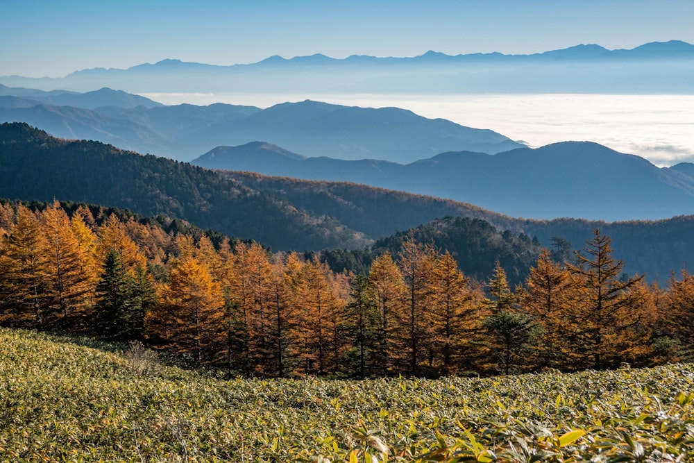 <p>恵那山は地理的には中央アルプスの南端部分にあるので、東側には南アルプスの山々を見ることができる。今日は、伊那谷に蓋をするように雲海が広がっていた。</p>