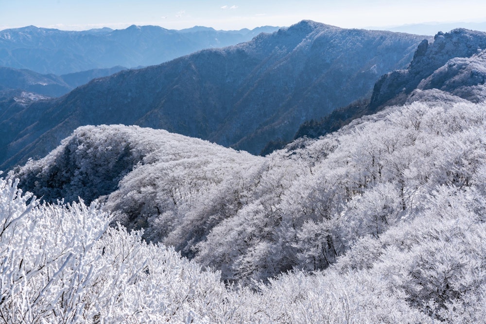 <p>雪というより、霧氷だな。霧氷が綺麗だ。</p>