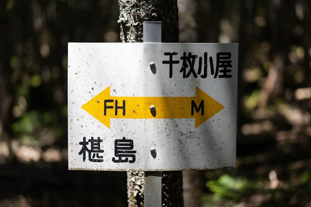 <p>赤石岳や荒川岳の登山拠点、椹島を目指して下山中。</p>