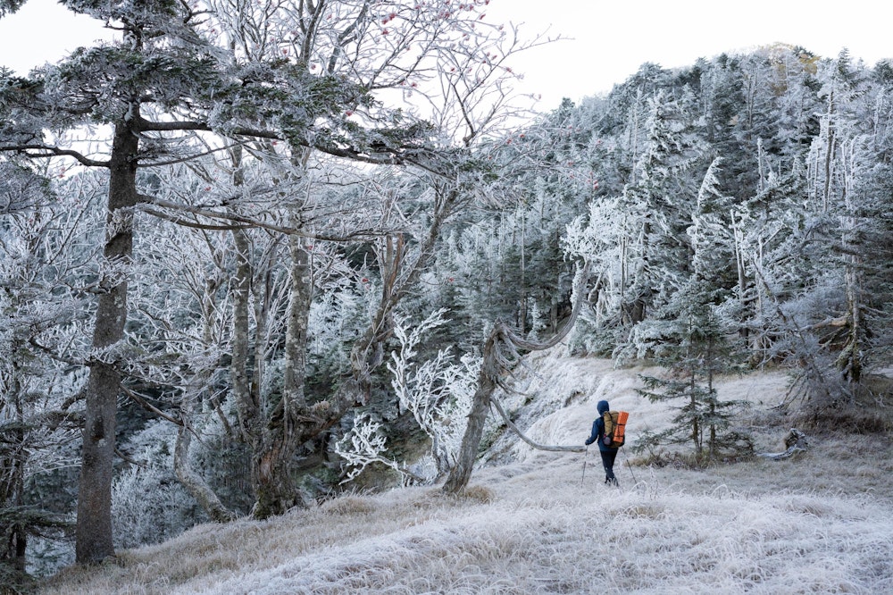 <p>前夜、弱い雪が降った。<br>二日目も手元の温度計でマイナス 5 ℃まで下がっていた。<br>山は秋と冬の狭間を彷徨っている。</p>