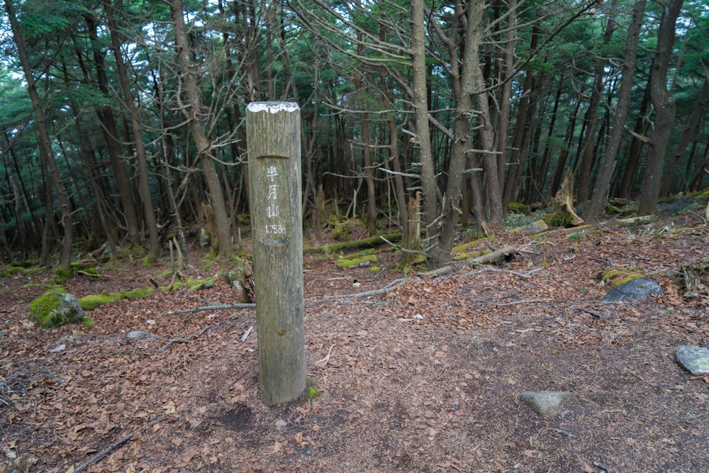 <p>日光駅から東武バスで半月山へ。ここまでは霧の中を歩く地味な登山だった。<br>社山を目指したが、天気が良くないので断念。</p>
