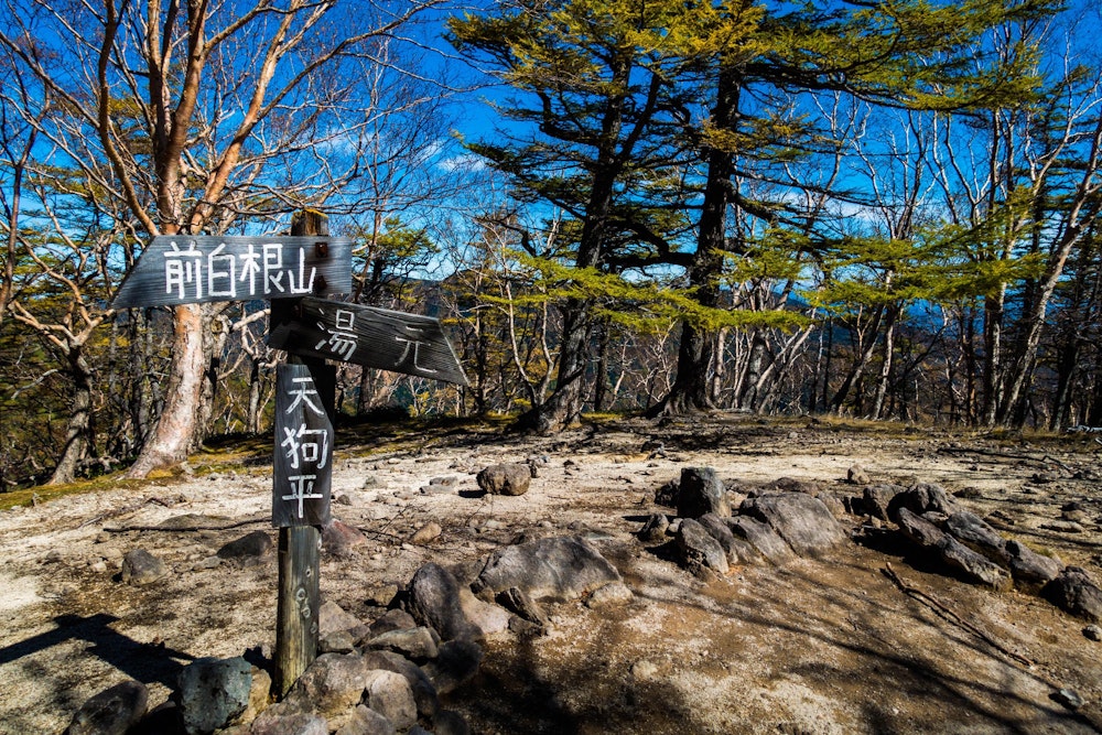 <p>湯元温泉からの日光白根山は、やや長めのアプローチ。<br>登山者の多くは、群馬県側にある丸沼高原からロープウェイを使って登るため、こちら側は静かだ。</p>