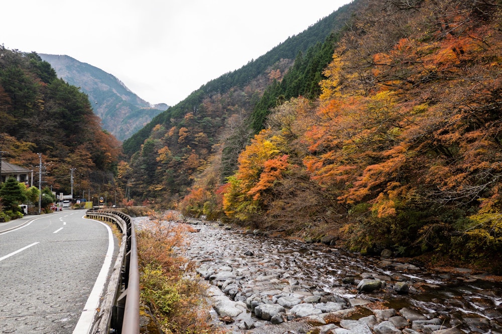 <p>梅ヶ島温泉に下山した。このあたりはちょうど紅葉の最盛期を迎えていた。<br>ここから車道を通って、黄金の湯を目指す。</p>