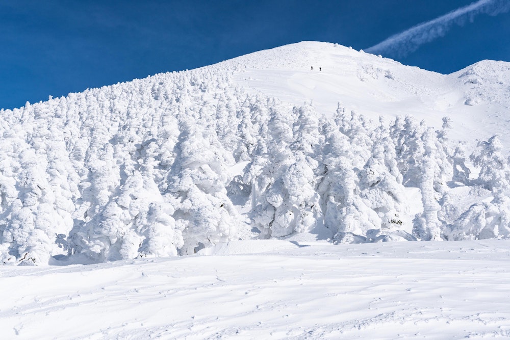 <p>どこまでも真っ白な風景。<br>そしてこの青空。冬の八甲田山で、これほどの穏やかな天気に恵まれるというのは幸運だ。<br>登山中に出会った現地の人も、ここまでの好天に恵まれることはシーズンに一度あるかないかと言っていた。</p>