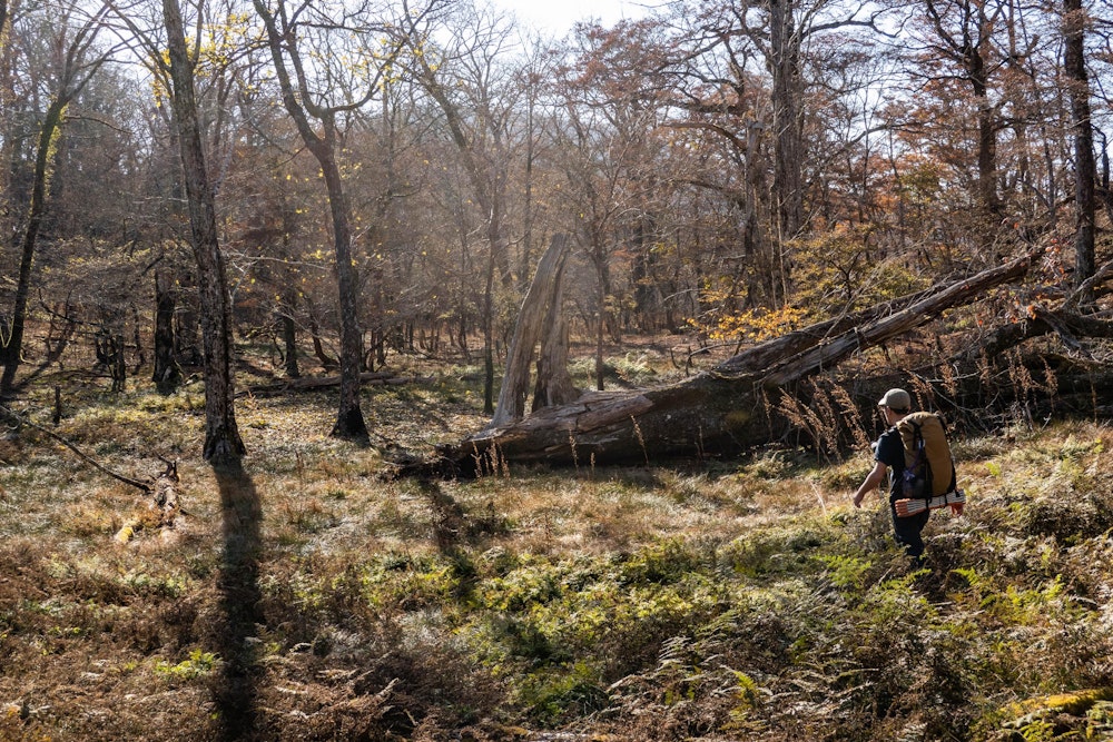 <p>今回の宿泊地は、国見岳の肩のあたりに位置する平坦地「山池湿原」。<br>湿原とはいっても、水たまりなどはなく全体的に乾燥していたので、幕営に適している。</p>