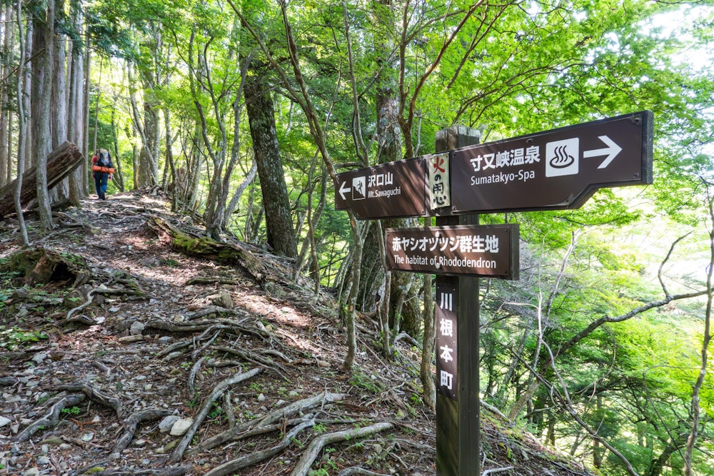 <p>寸又峡を三角形に囲むようにある寸又三山の一角である沢口山をまずは目指す。<br>明るい新緑の登山道を淡々と歩き、一気に標高を上げる。まだ初日の朝なので体は元気。</p>