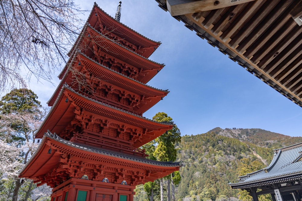 <p>菩提梯を登り切ると、本堂や五重塔に迎えられる。<br>奥には身延山の頂上も見えた。</p>