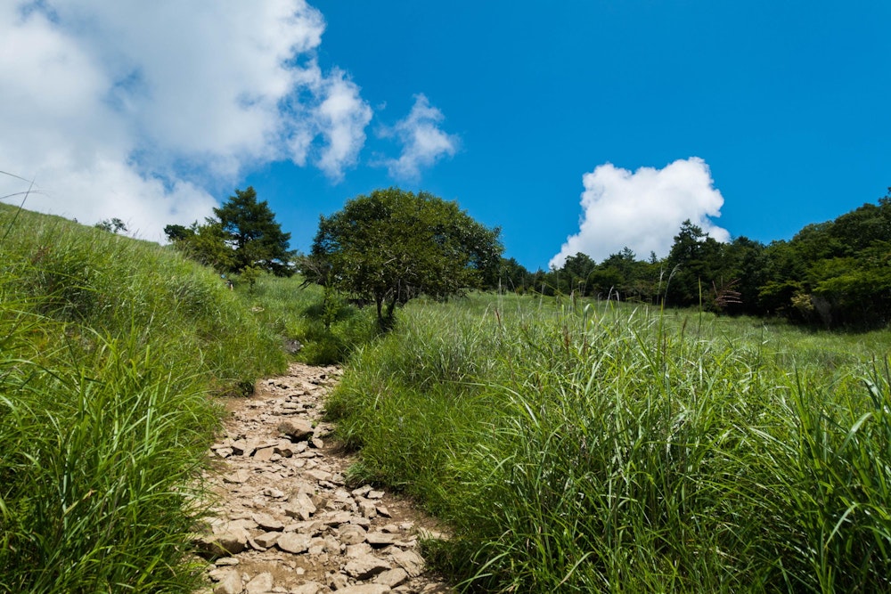 <p>扇平の軽快な登山道。<br>山頂までの道のりにおいて、このあたりが最も気持ちがよかった。</p>