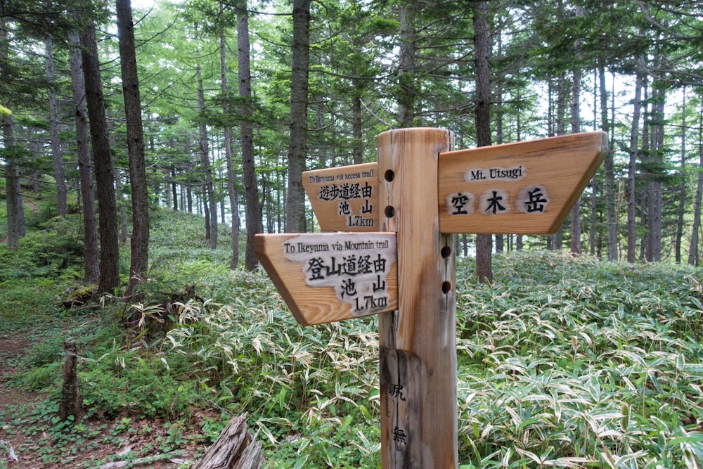<p>長い池山尾根を黙々と下っていく。<br>最後は林道終点にタクシーを呼んで、駒ヶ根まで戻った。<br>静かな山で、絶景づくしで、充実の 2 日間だった。</p>