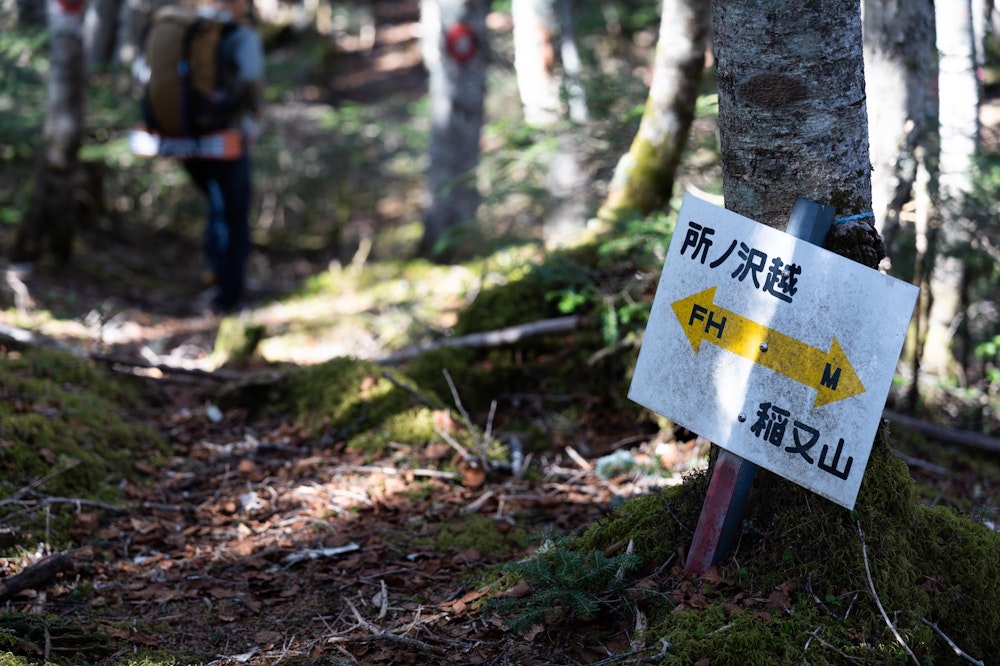 <p>稲又山を過ぎて、今日の幕営地である所ノ沢越を目指す。<br>かなり疲労しているが、あと少しだ。</p>