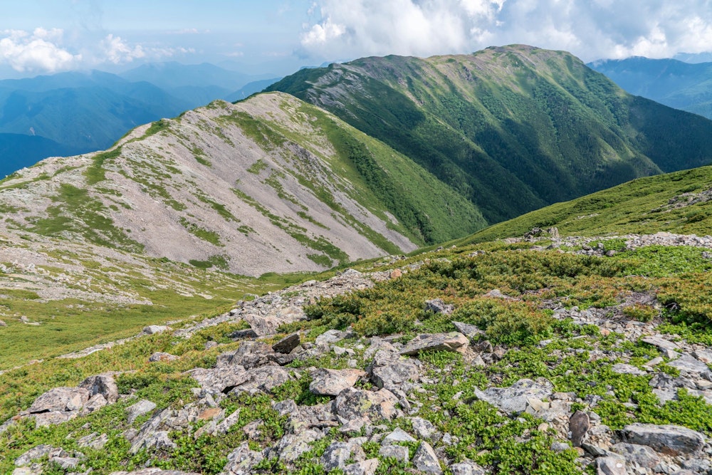 <p>ここから先は白峰南嶺のエリアへと入っていく。<br>正面に連なる穏やかな稜線だ。<br>これまで多かった登山者は、ここを境に一気にいなくなる。<br>静かな山歩きを楽しめる。</p>