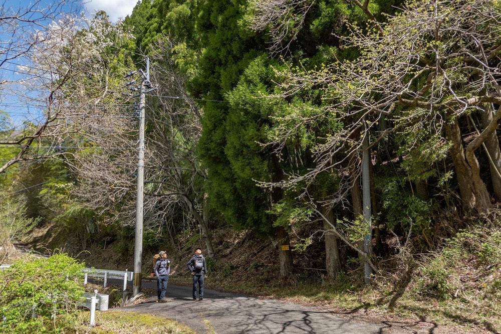 <p>九州脊梁のふもとである熊本県八代の奥地、五家荘は春の雰囲気。</p>
