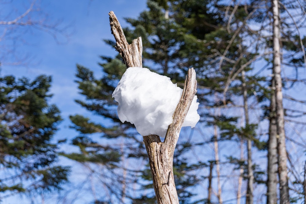 <p>収まりのいい雪玉。自然にできたとしたら、不思議。</p>