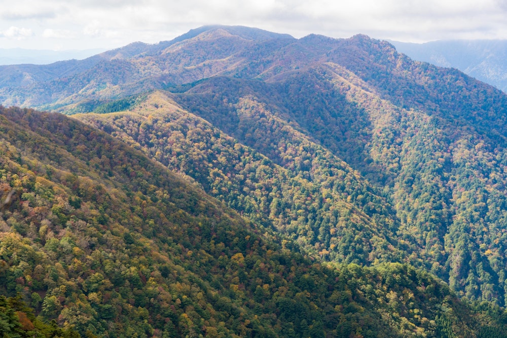 <p>傾山の登り途中から見た祖母山方面。中央奥の山はおそらく本谷山。<br>山肌の紅葉が美しい。</p>