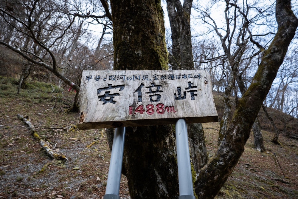 <p>安倍東山稜の北端、安倍峠に到着。南北に真っ直ぐ伸びる、長い尾根だった。</p>