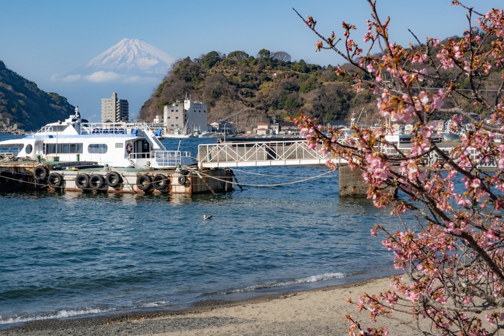 <p>三津口に下山して、しばらく内浦三津の町並みを歩いて三の津総合案内所に戻る。<br>早咲きの桜や、内浦湾の渚越しに望む富士山が綺麗だった。</p>