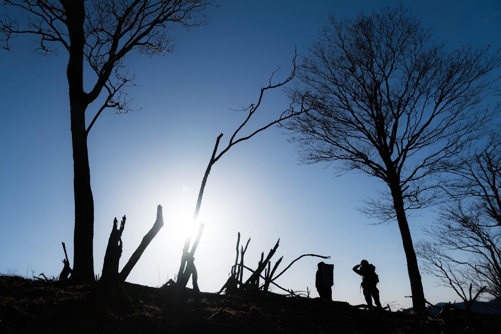 <p>今日も素晴らしい秋晴れ。</p>