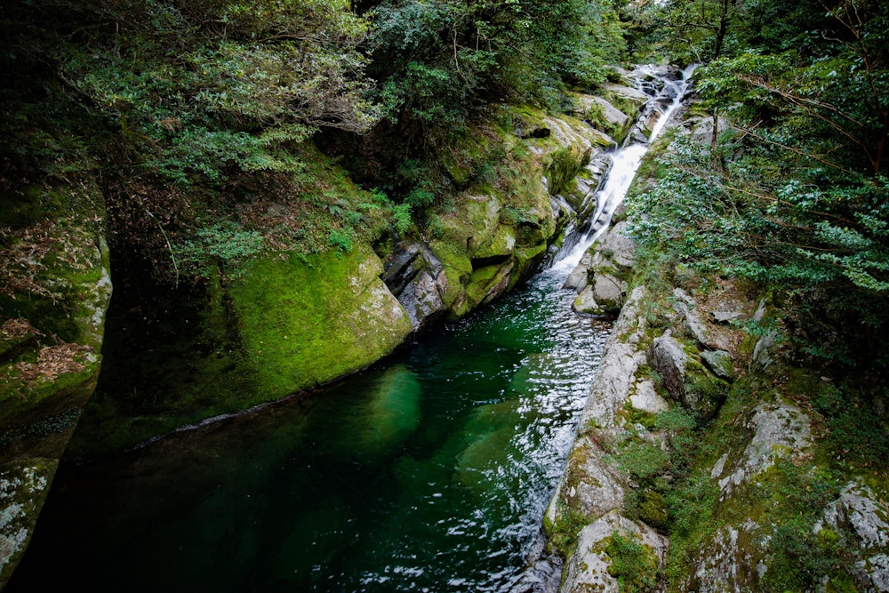 <p>白谷雲水峡から入山。<br>美しい渓流に沿って標高を上げていく。</p>