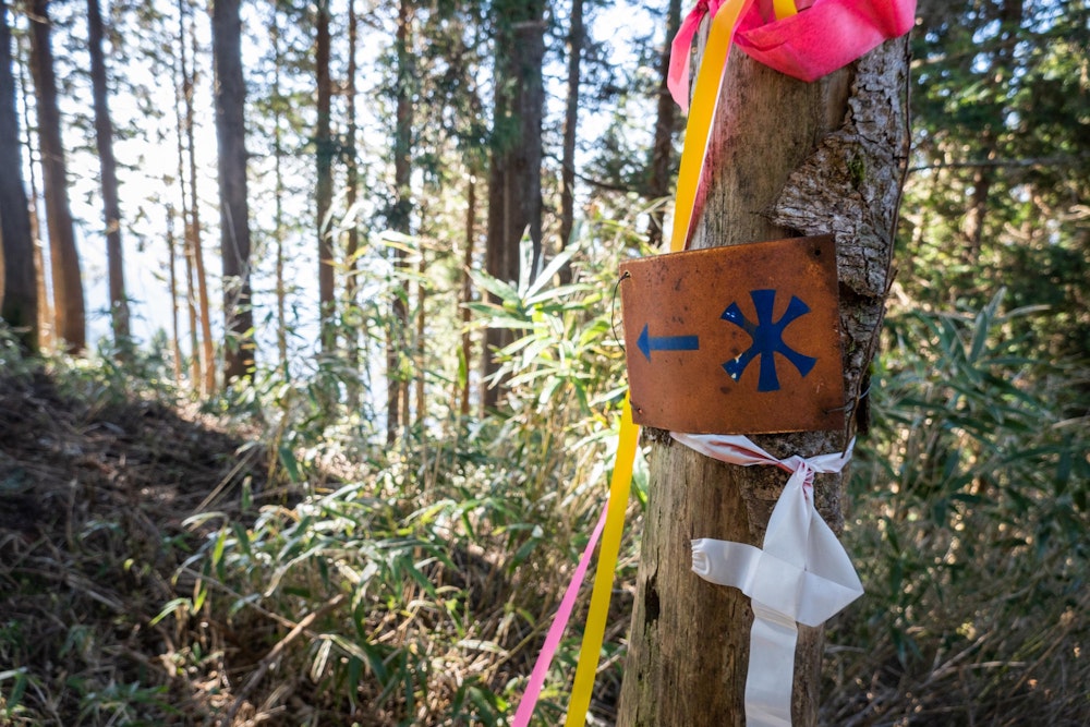 <p><span style="color:#000000">浅間原から少し西側に下ったところにある水場の目印。</span><br><span style="color:#000000">このあと、水場を見つけるのに難儀したが、なんとか岩の裏から細々と流れる水にありつくことができた。</span></p>