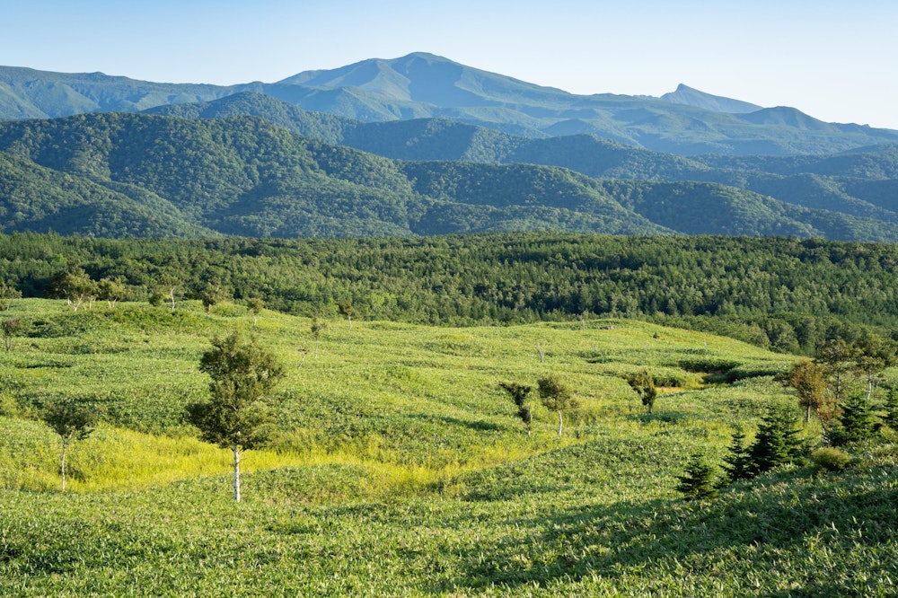 <p>知床半島の大自然。手付かずの自然がそのまま残されている。</p>