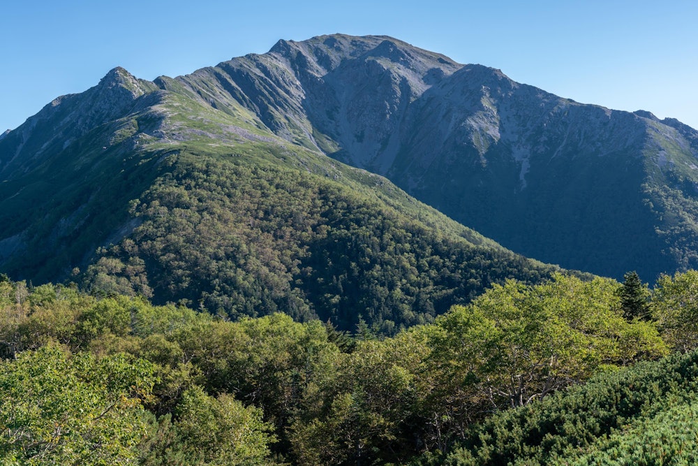 <p>大きな山体の間ノ岳。<br>左の突き出た小ピークが、標高 2999m の三峰岳で、通ってきた道。</p>