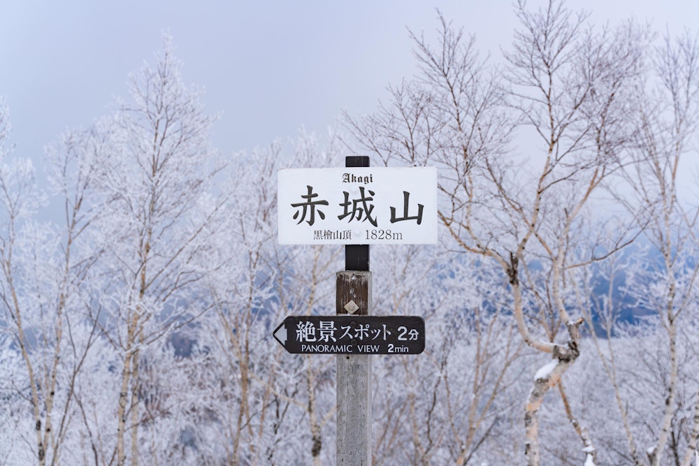 <p>山頂はガスに巻かれ気味だった。<br>風が強くて寒かった気がする。</p>