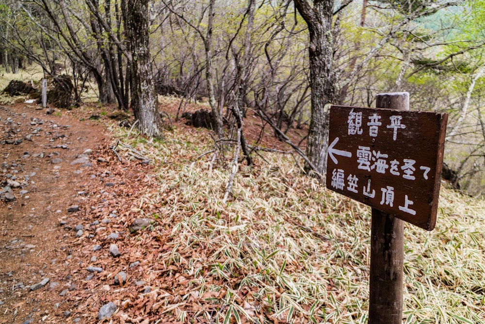 <p>八ヶ岳南端の登山口、観音平から編笠山を目指す。</p>