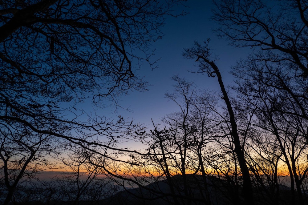 <p>日の出前から入山する。</p>