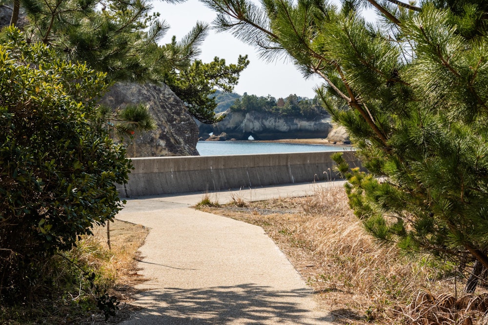 <p>遊歩道として整備された松林を抜けると、海沿いに出た。</p>