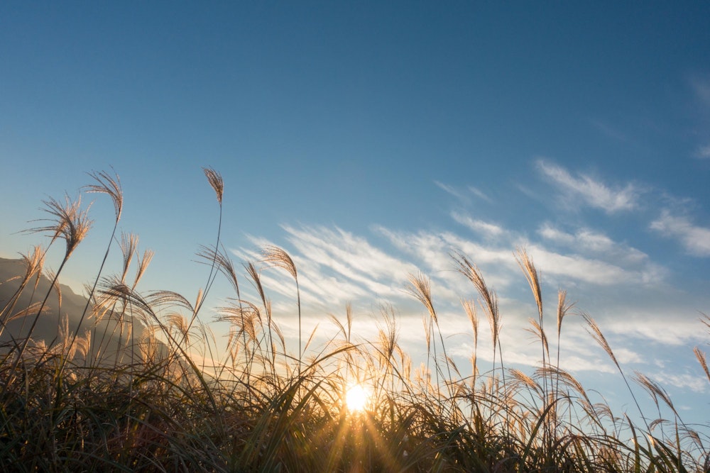 <p>ちょうど日の出くらいに、俵山峠を出発する。<br>11 月に入り、よく冷えた朝だ。</p>