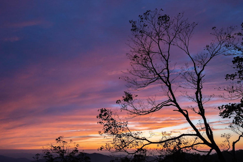 <p>今日ここにきてよかったと心から思える時間だった。<br>決してこれを狙ってくることはできない、偶然の産物。自然の神が味方してくれた。</p>