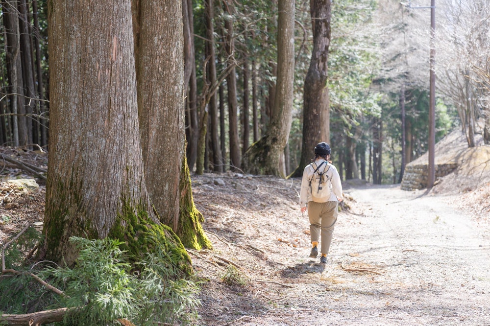 <p>みのぶだんごで小腹が満たされたところで、1,000m 近い標高差を下っていく。<br>登りはロープウェイを使ったが、ずっと下りというのも足には負荷がかかった。</p>