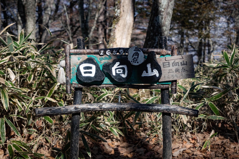 <p>実は日向山の頂上は樹林帯の中にある。そしてここを過ぎると...</p>