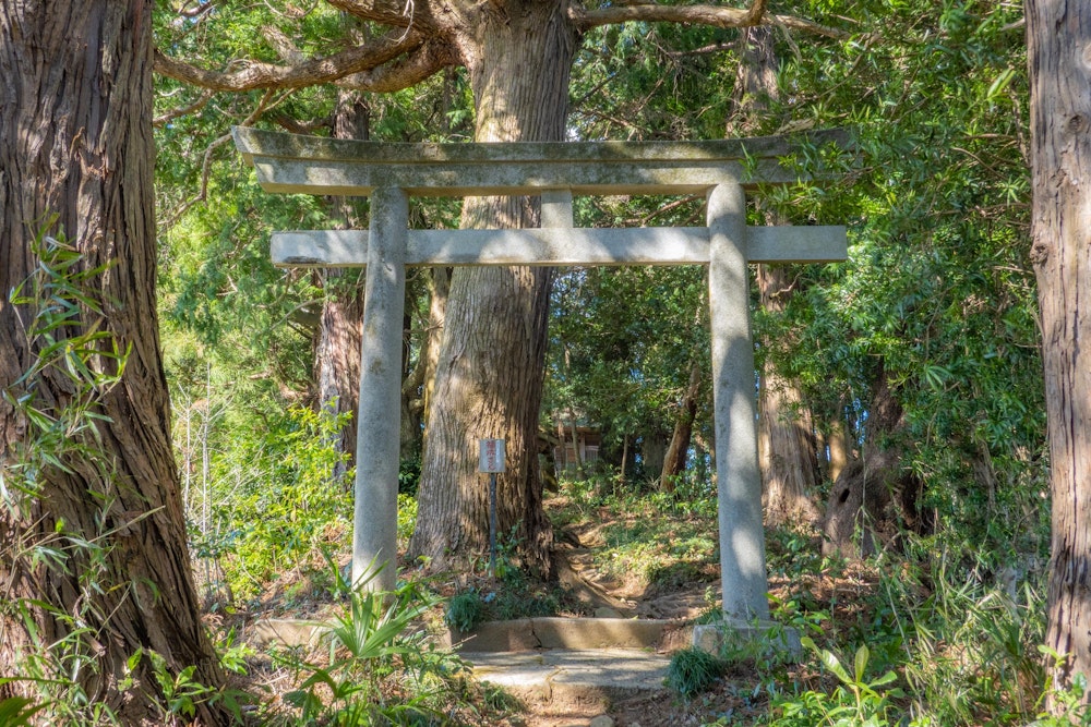 <p>浅間神社から入山して北上していくと、最後に迎えるのは福成神社、通称・福成さん。<br><span style="color:#333333">伊勢の外宮様の神様と同じ神様だそうだ。</span><br><span style="color:#333333">この先は鯨ヶ池に向けて竹林を辿って下りていく。</span></p>