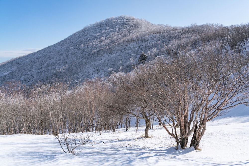 <p>駒ヶ岳を望む。</p>