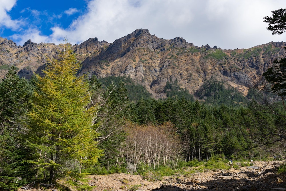 <p>南沢登山道を登っていくと次第に見えてくる横岳の稜線。<br>これがかっこいいんだよな。</p>