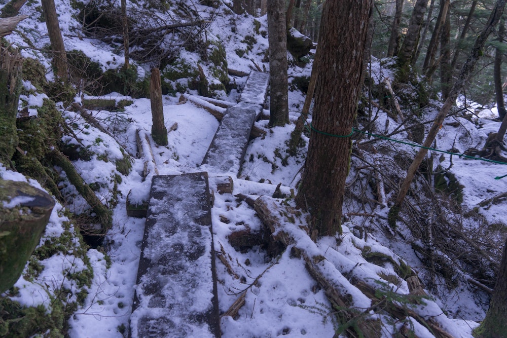 <p>とは言っても、日陰になるところは比較的多くの雪が残っている。<br>さらに木道の表面に着いて踏み固められた雪は氷と化しており、とても滑る。</p>
