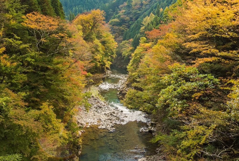 <p>多摩川の上流部。今は時期を外しているが、夏は川下りや渓流釣りが楽しめそうな雰囲気。</p>