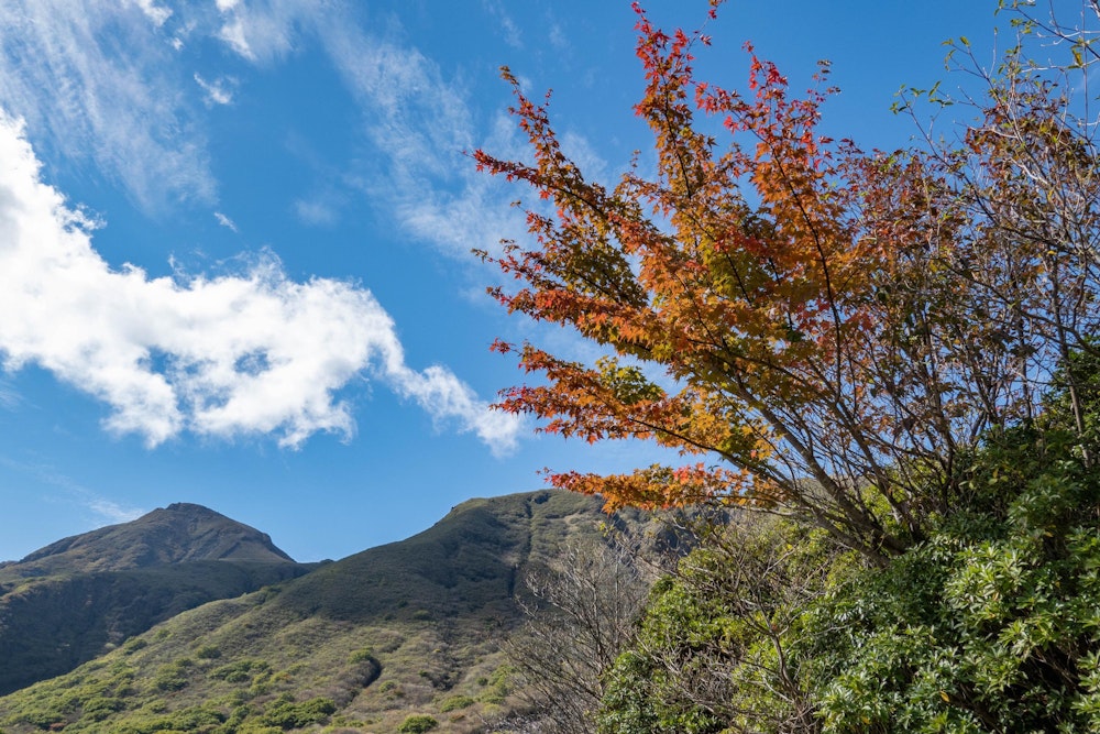 <p>やっと九州にも訪れた秋。</p>