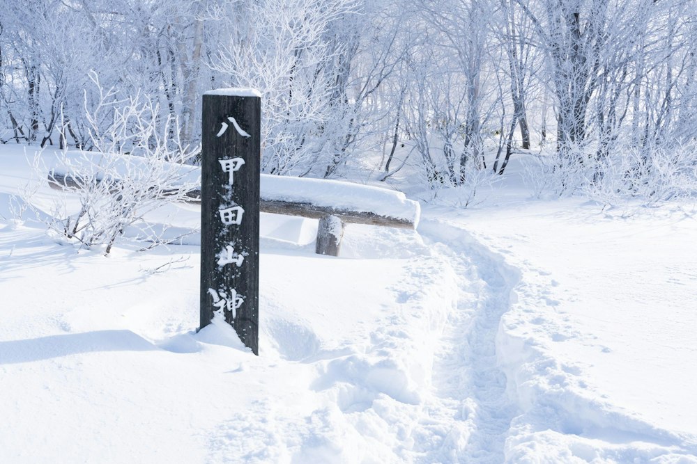 <p>酸ヶ湯温泉から入山。<br>鳥居が頭まで埋まっている。日本最大級の積雪量を誇る酸ヶ湯の本領をいきなり見せつけられた。</p>