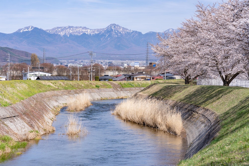 <p>残雪の八ヶ岳が見られる。茅野らしい風景。<br>季節は一気に進んでおり、あの山肌の雪もそろそろ無くなってしまうだろう。</p>
