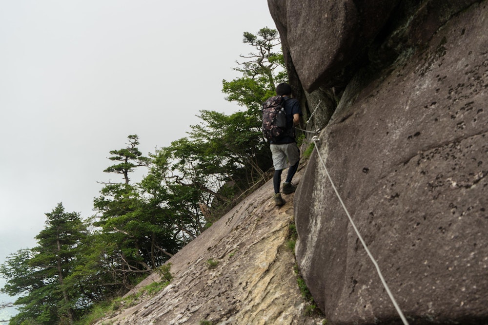 <p>下山は坊主尾根を使ったが、これがなかなか凄まじいルートだった。</p>