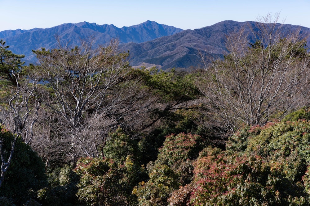 <p>中央奥に見えているのは祖母山。この山域は祖母山・傾山と直結している。</p>