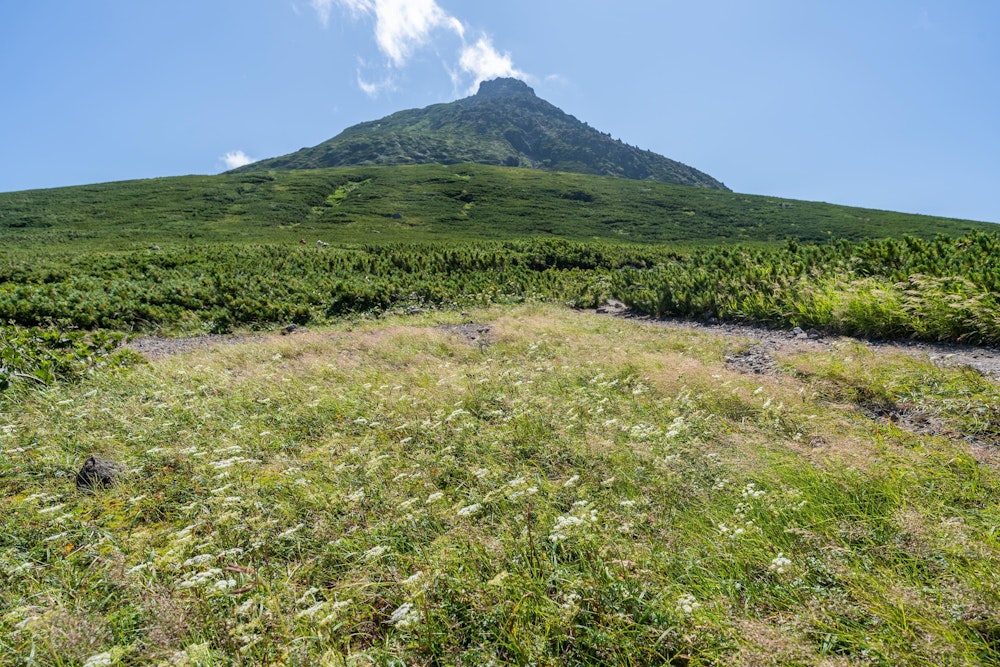 <p>羅臼岳に登頂し、その下山中に見た羅臼岳。<br>山頂では霧に巻かれてしまったが、下りていたら山頂は晴れてきた。</p>