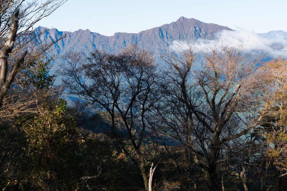 <p>目指す祖母山はまだ遠い。</p>