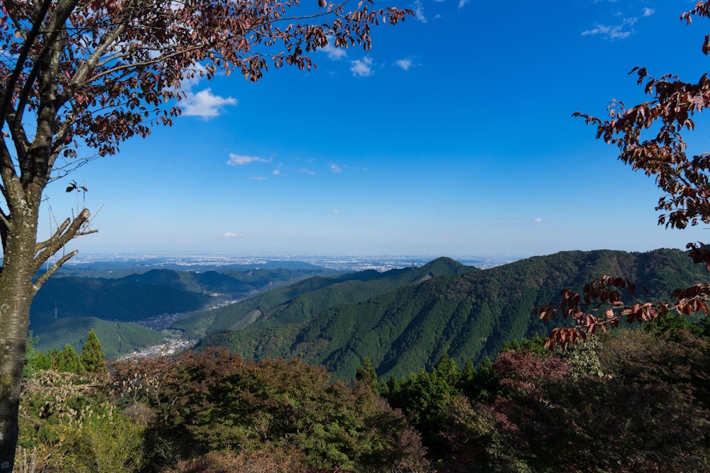 <p>大岳山を越えて、そのまま御岳山方面に降りていく。<br>最後はケーブルカーを使って楽々下山だ。<br>お手軽なようで、意外とタフな道のりだった。</p>