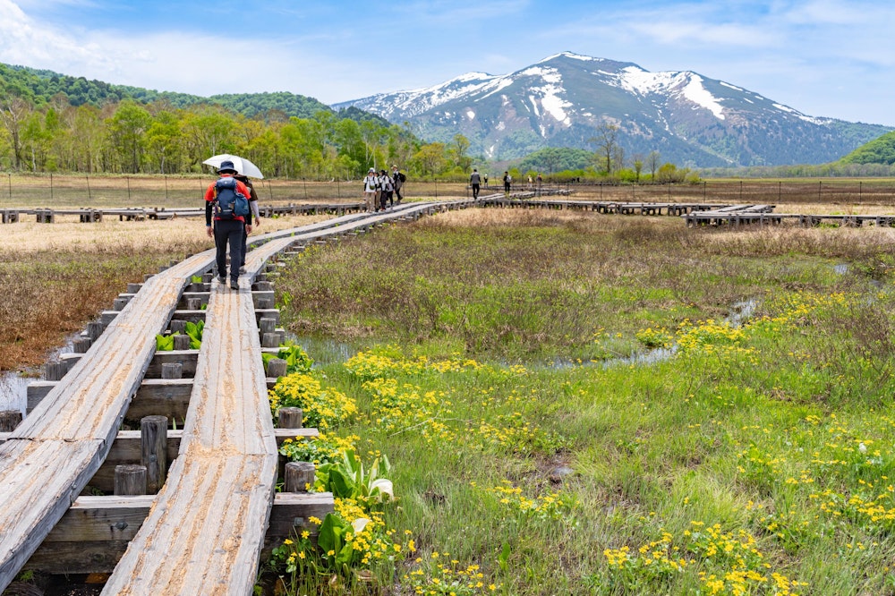 <p>尾瀬ヶ原には東西を横切るように木道が敷かれており、そこを歩く人は右側通行で行き交う。</p>