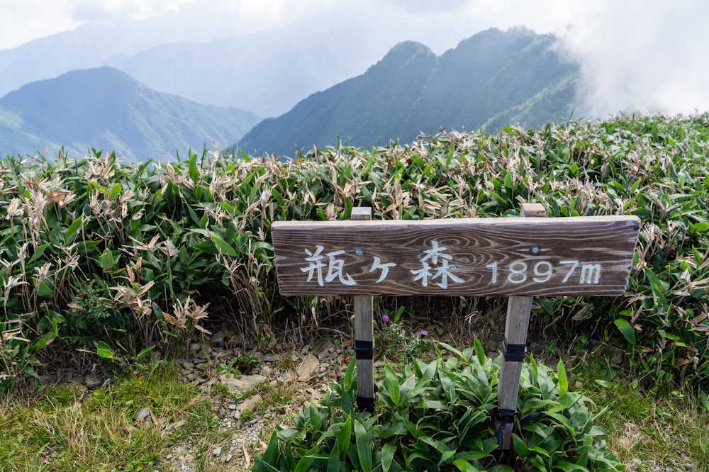 <p>瓶ヶ森頂上。これだけ標高が高いのに、西条市の街並みや瀬戸内海がすぐそこに見えた。<br>四国の山の急峻さを実感する。</p>