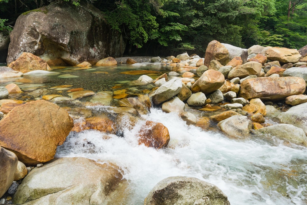 <p>ふたたび祝子川を渡渉して下山する。<br>帰りのほうが難しい印象だった。</p>